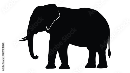 A majestic silhouette of an elephant standing in a natural habitat isolated on white background, Vector