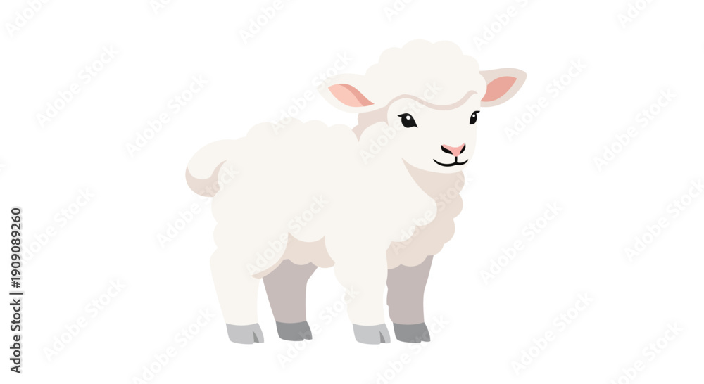 Fototapeta premium Cute cartoon lamb, little sheep standing on white background, vector illustration