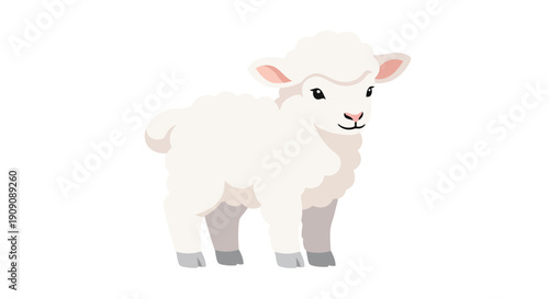 Cute cartoon lamb, little sheep standing on white background, vector illustration