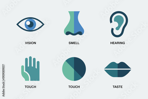 Five Senses Icons Vision Smell Hearing Touch Taste Abstract Flat Design Vector Illustration representing sensory perception and human experience for education science and healthcare concepts