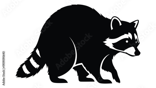 A black and white illustration of a raccoon walking on all fours isolated on white background, Vector