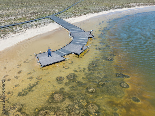 Aerial view of boardwalk at Lake Thetis