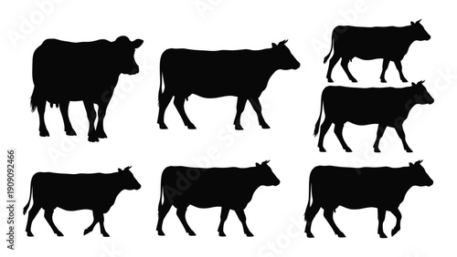 A variety of different cow silhouettes arranged in a grid pattern isolated on white background, Vector