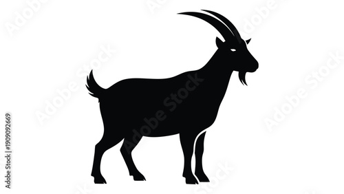 A black silhouette of a goat standing on all fours with its head turned to the side. isolated on white background, Vector