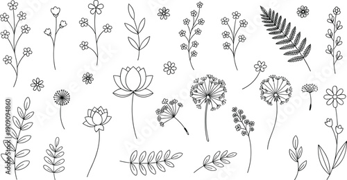 Hand drawn floral doodle vector set with wildflowers leaves fern branches and botanical line art elements isolated on white background for decoration designs
