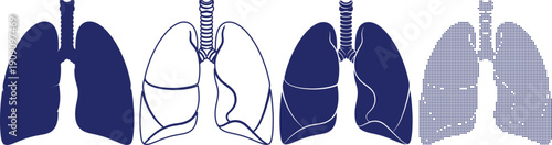 Human respiratory system lungs icons displayed in multiple artistic styles for medical and healthcare presentations