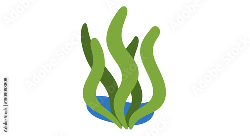 Green Seaweed Underwater Plant Isolated White Background