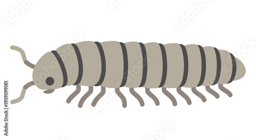 Illustration of a Millipede, Isolated on White Background