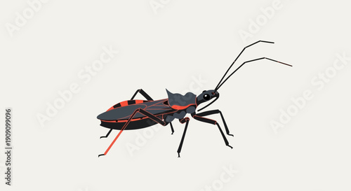 Illustration of a predatory assassin bug with orange stripes on a light background