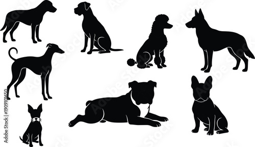 Dog silhouettes collection set, different breeds standing sitting lying poses, pet animal domestic concept design, black vector isolated