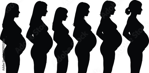 Pregnant woman silhouette collection set, maternity side view profiles, expecting mother vector illustration design isolated artwork concept bundle