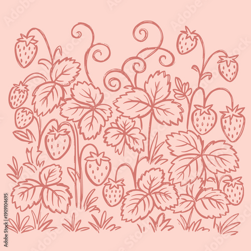 Strawberry vector illustration, rustic hand drawn doodle charming botanical plant pattern, vintage whimsical berry garden sketch, organic playful fruit nature background, floral leaf summer drawing