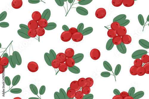 Lingonberry seamless pattern. Berries isolated on white background. Vector flat template.
