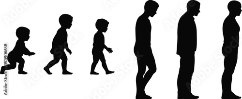 Silhouette of male life stages from toddler to adult, growing human concept, evolution age process isolated on white background vector illustration