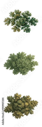 Set of three tree top views with green and yellow foliage isolated on transparent background, architectural sketching