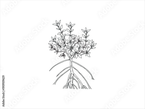 Black and white line art icon of a mangrove tree. Vector of  tree roots outline