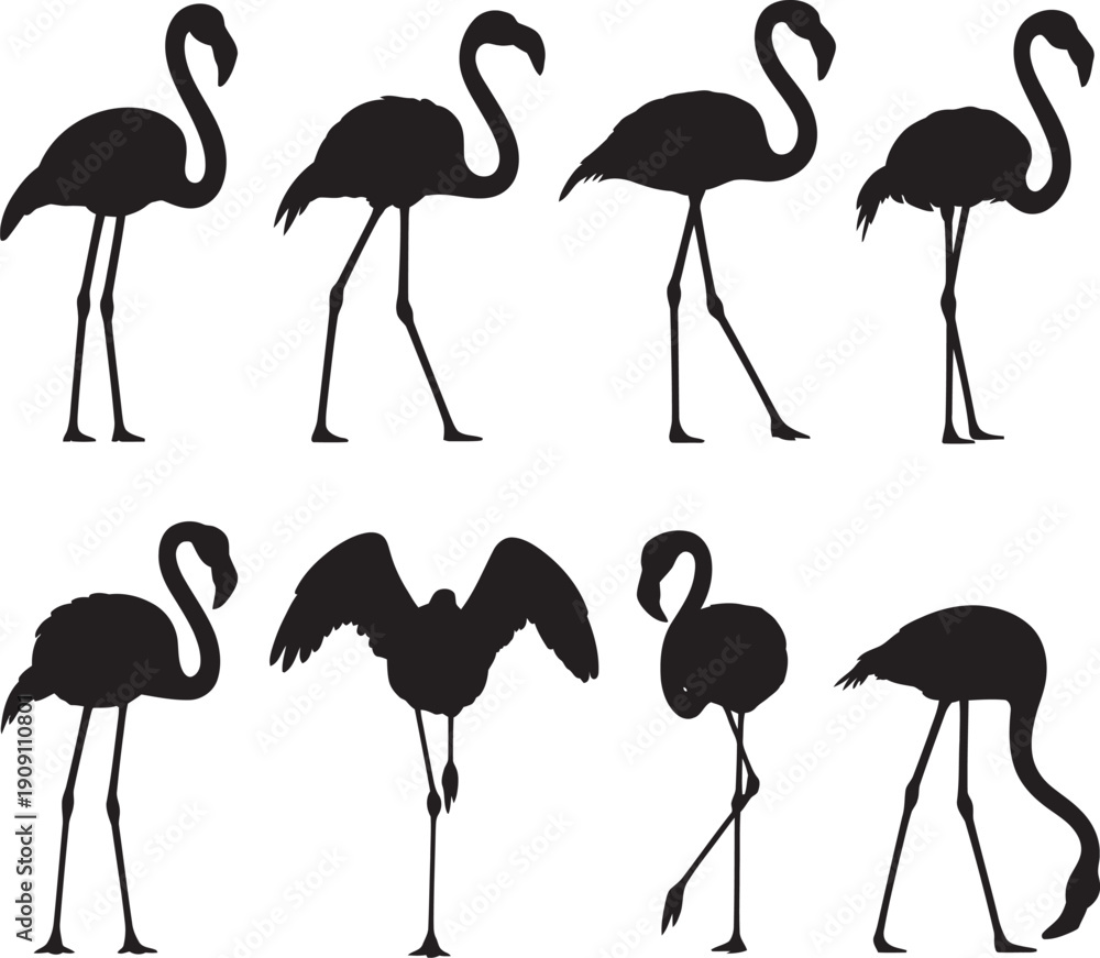 Naklejka premium Flamingo Silhouette Set – Tropical Bird Pose Collection Illustration