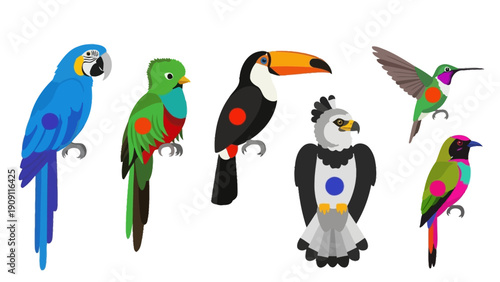 Colorful Exotic Birds Collection: Parrot, Toucan, Hummingbird, Eagle, Quetzal