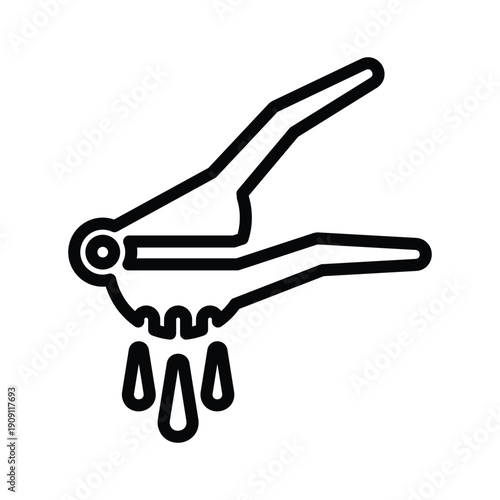 Juicer squeezer icon