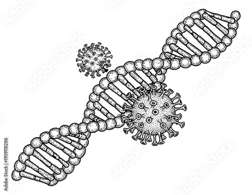Hand drawn illustration of a dna strand and coronavirus depicting genetic infection for medical research