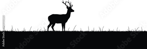 Deer Standing on Grassy Hill Silhouette