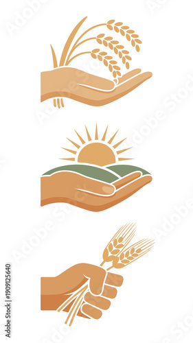 Hand holding wheat stalks and farmland landscape with sun symbolizing agriculture harvest growth and sustenance for food industry and organic farming concepts in flat design illustration