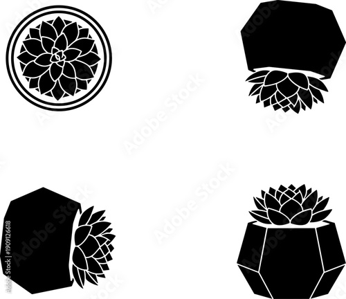 4 view  Minimalist Succulent Vector Icons Set: Four Black Silhouette Illustrations of Echeveria in Modern Geometric Planters, Ideal for Logo, Sticker, or Branding Design.