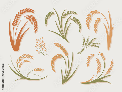 Collection of stylized rice plant illustrations in earthy tones with green stalks and golden brown grains representing harvest agriculture organic food and natural farming concepts for graphic design