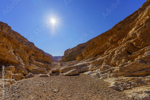 Desert landscape, inside Makhtesh (crater) Ramon