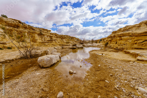 Wadi with winter ponds in Ein Avdat National Park