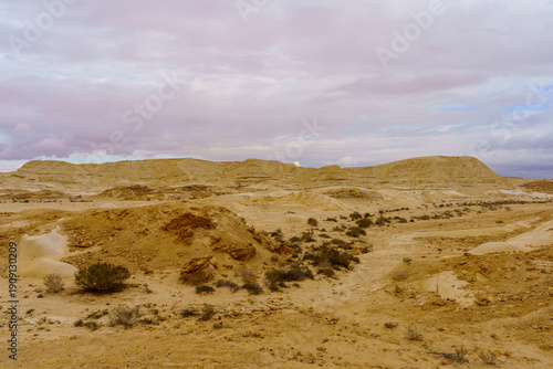Nitzana Hillocks, Negev desert