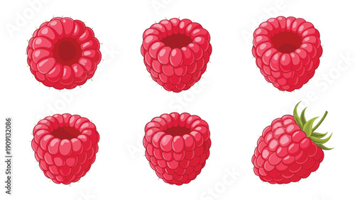 Collection of six ripe pink raspberries shown from various angles provides a detailed view of the textured summer fruit.
