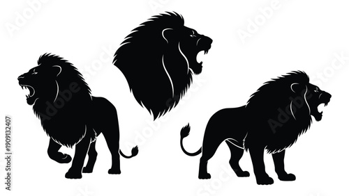 Three majestic lions in silhouette against a white background. isolated on white background, Vector