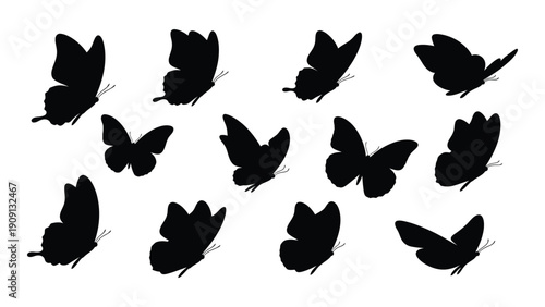 A collection of various butterfly silhouettes scattered across a white background isolated on white background, Vector