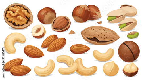 Extensive collection of various nuts including walnuts hazelnuts pistachios almonds cashews and macadamias in different forms.