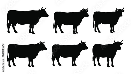 Six black silhouettes of cattle standing in a row against a white background isolated on white background, Vector