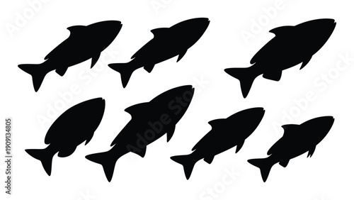 Seven black silhouettes of fish swimming in a circular pattern isolated on white background, Vector