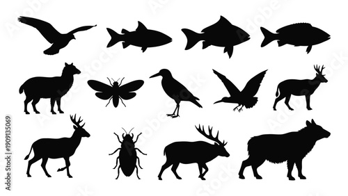 A diverse collection of black silhouette animals and insects isolated on white background, Vector