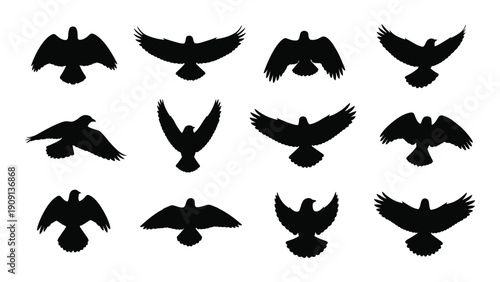 A collection of various bird silhouettes in flight and at rest isolated on white background, Vector