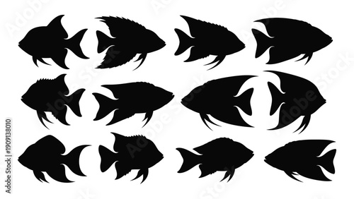 Black silhouettes of various fish species arranged in a grid pattern isolated on white background, Vector