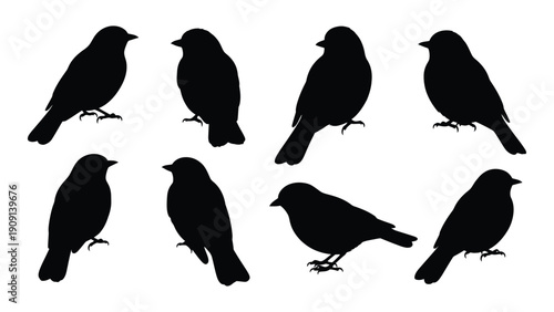 A collection of eight black silhouettes of birds perched on branches in various poses. isolated on white background, Vector
