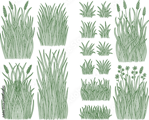 Hand drawn green grass tufts, meadow weeds, and wild field plants for landscape CAD vector illustration,