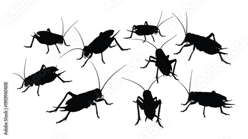 A group of cockroaches on a white background with some arrows pointing at them. isolated on white background, Vector