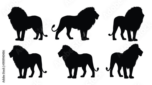 Silhouettes of lions showcasing various poses and stances in black and white isolated on white background, Vector