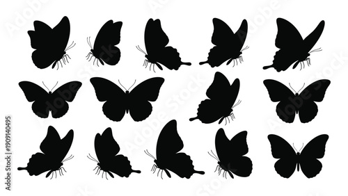 A collection of various butterfly silhouettes in black and white isolated on white background, Vector