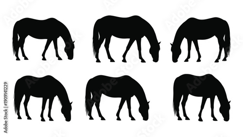 Six black silhouettes of horses grazing in a field isolated on white background, Vector