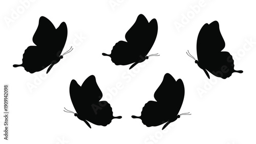 Five black butterflies in a circular arrangement on a white background isolated on white background, Vector