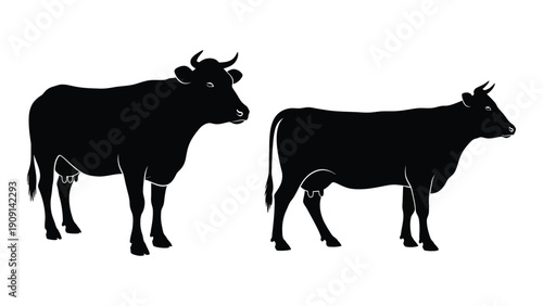 Two silhouettes of bulls standing side by side, facing opposite directions. isolated on white background, Vector