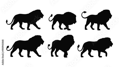 Eight black silhouettes of lions in various poses against a white background isolated on white background, Vector
