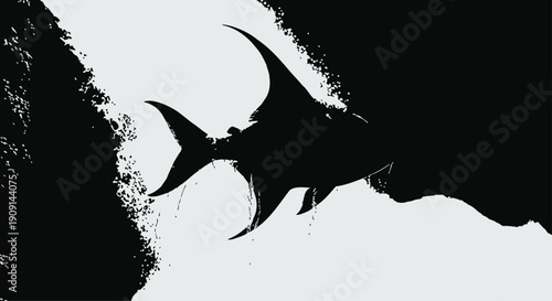 Black Fish Swimming on White and Black Background